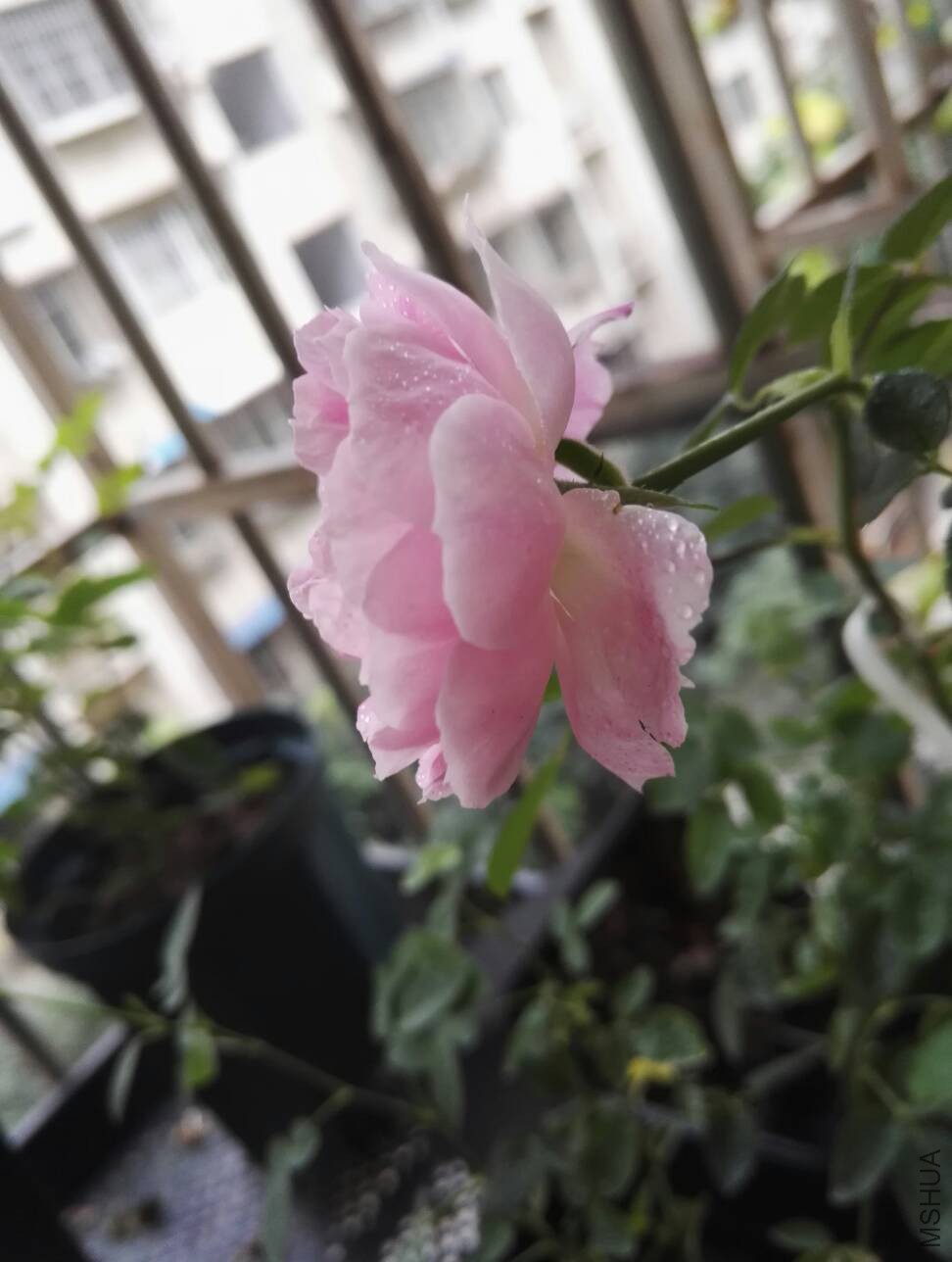 104558accp1jmj3lo7j7zm.jpg