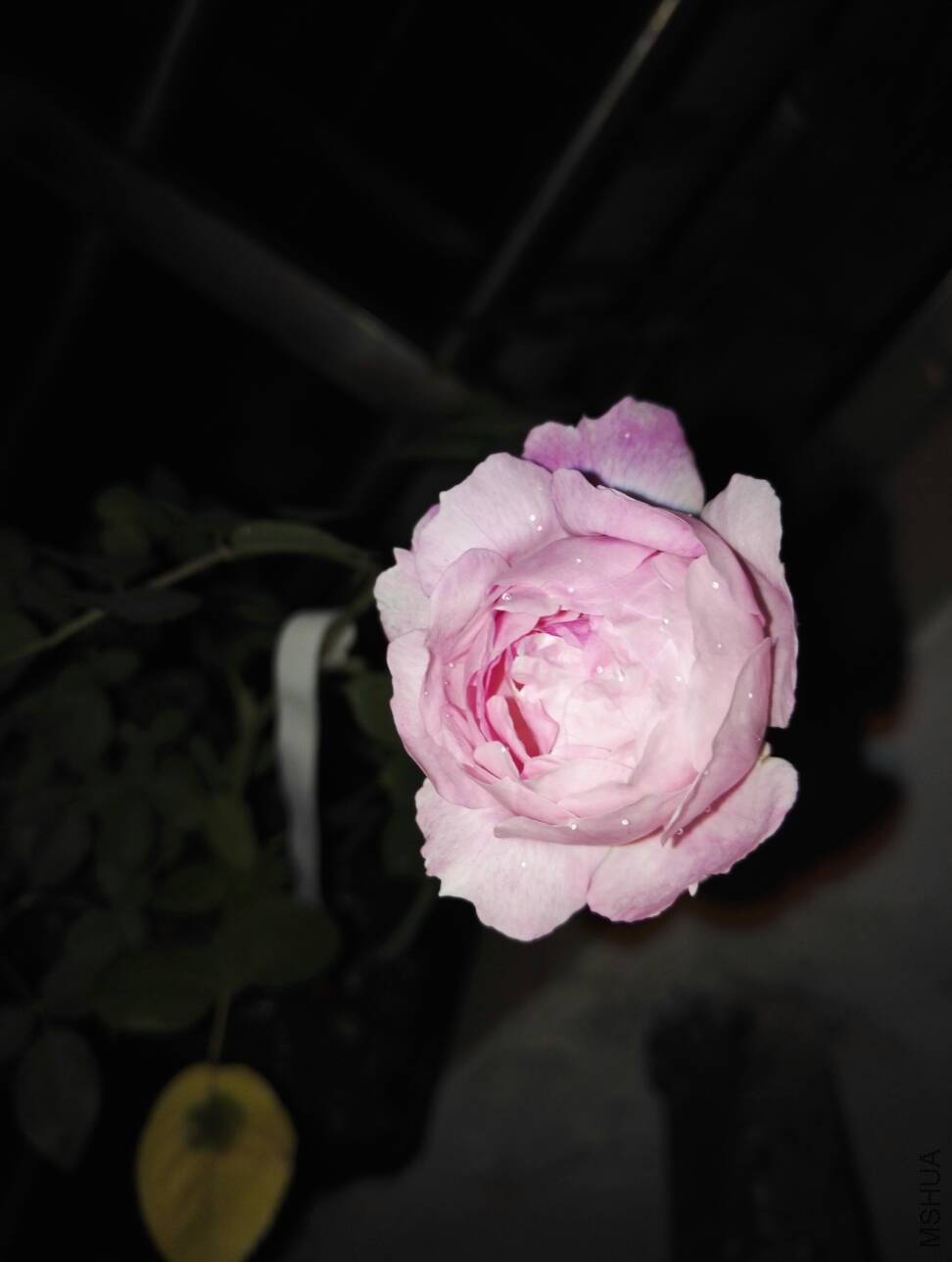 104559fqo6exe8jn6bj8qe.jpg