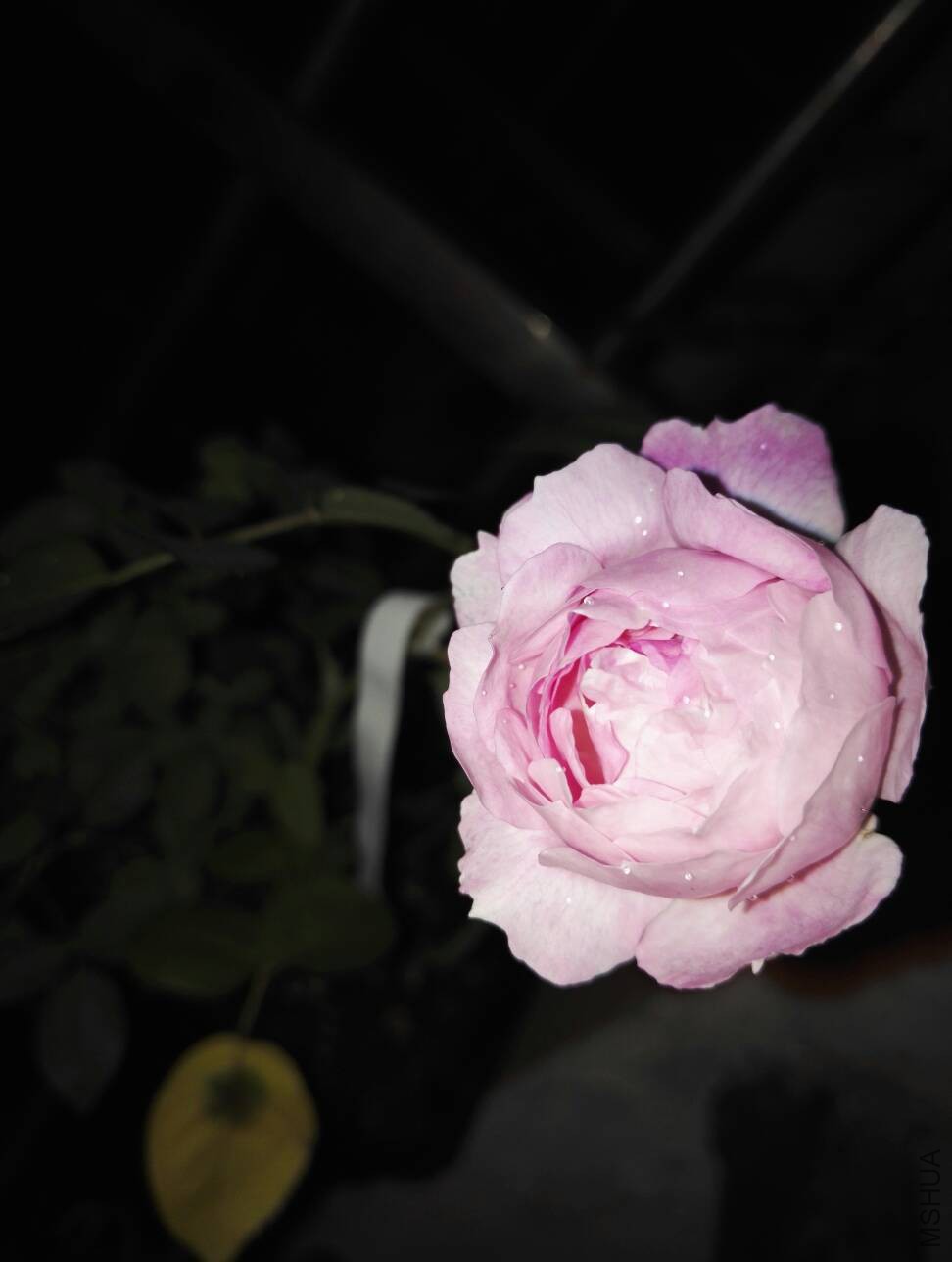 104559rwwu2u2ugugdg2q2.jpg