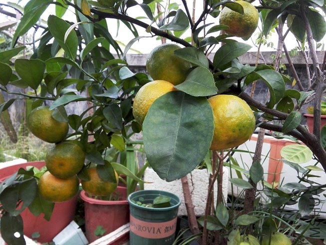 ͼƬ09.jpg