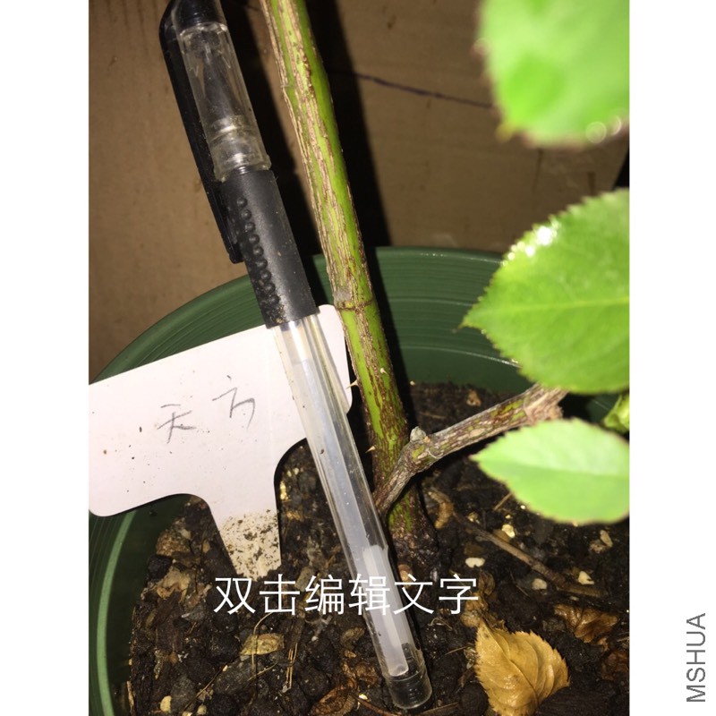 201325kt7pmg01p5ejl5te.jpg