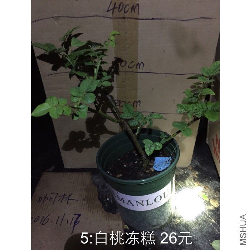 201328s467h6jioa7toawh.jpg