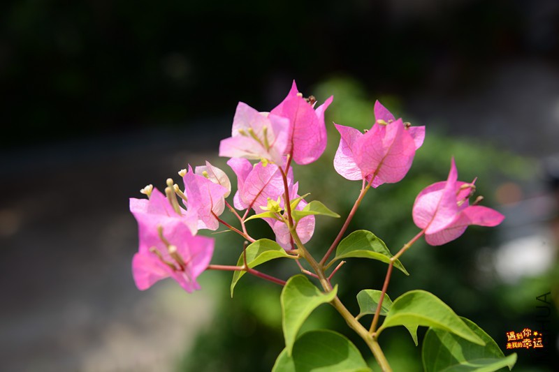 ��Ƭ 094_����.jpg