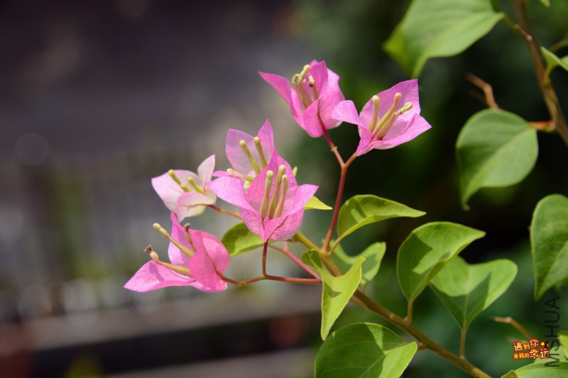 ��Ƭ 097_����.jpg