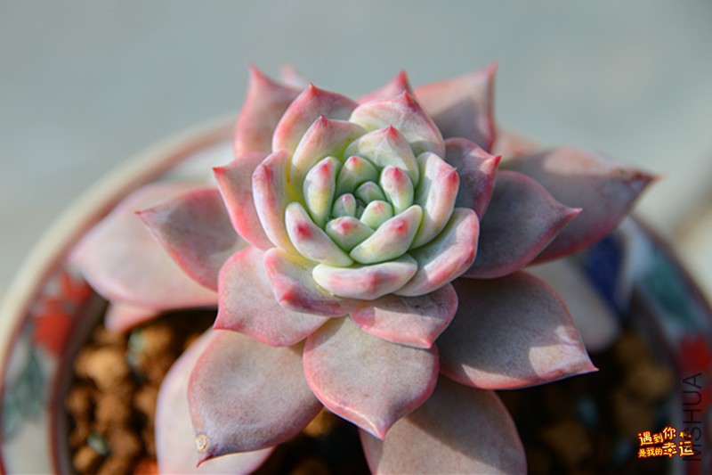 ��Ƭ 155_����.jpg