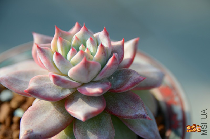 ��Ƭ 158_����.jpg