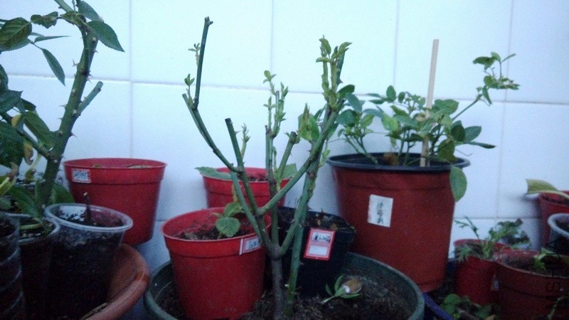 20161119_02.jpg