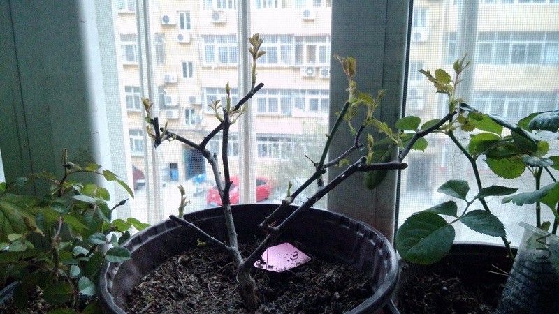 20161119_04.jpg