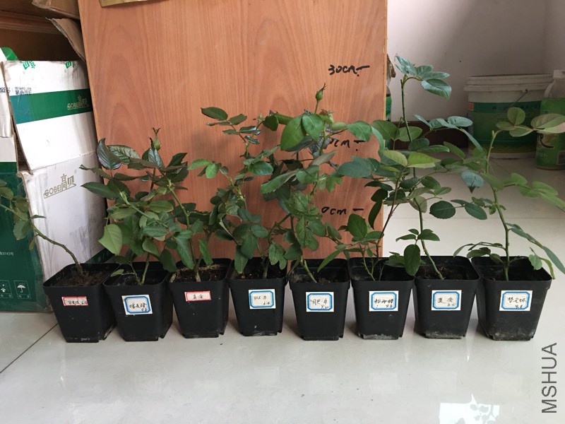 211635rqcwutzi6s1a4tdn.jpg