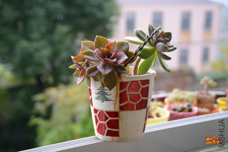 ��Ƭ 039_����.jpg