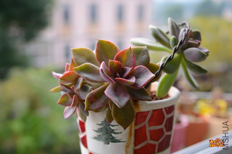 ��Ƭ 040_����.jpg