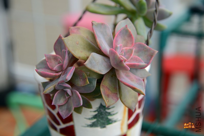 ��Ƭ 043_����.jpg