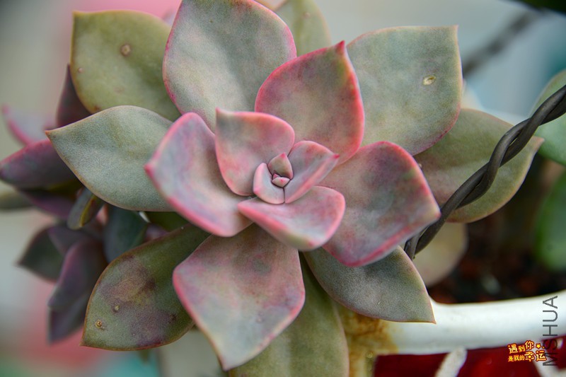 ��Ƭ 044_����.jpg