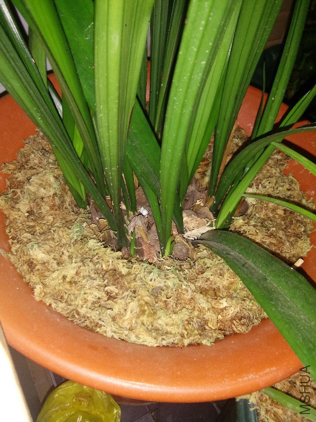 ��С��ѿ�Ǹճ��ģ������ѿ�Ѿ��ܸ��ˡ�