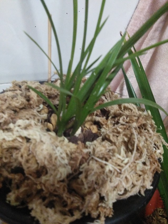 ���Ǹ�����һ�����µģ���û�������⣬ƽʱ��ˮһ����Ҫ�ε���������������ˮ���׸�����̨�����Ȳ����˼�ͨ ...