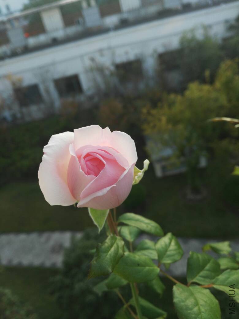 083651hfroerse3jn0n97b.jpg