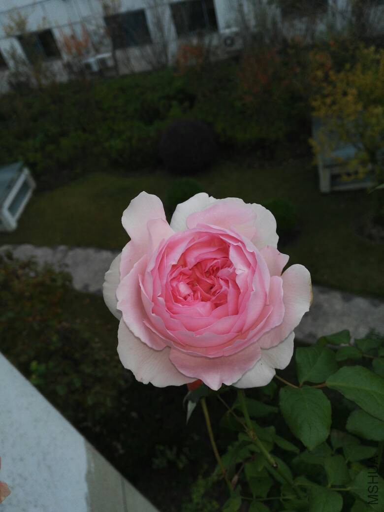 083651oeaa2zneie2cbiie.jpg