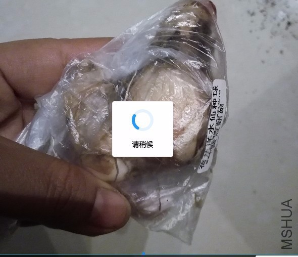 ��ˮ��2.jpg