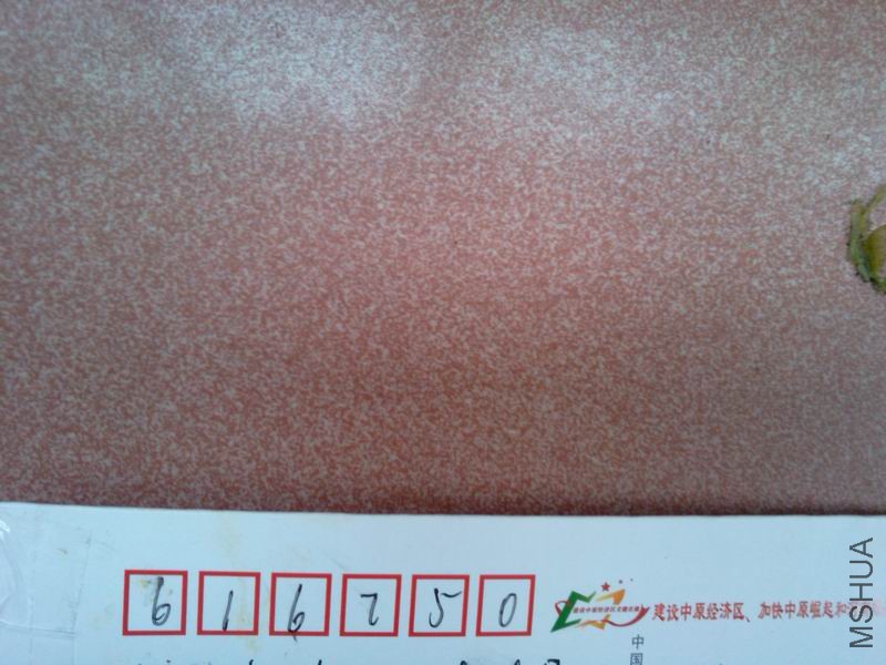 11.20��2.jpg
