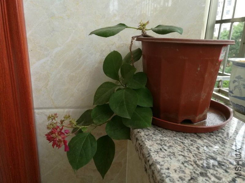 IMG_20161120_095113.jpg