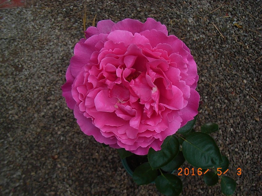 ��ܽ���� (22).JPG