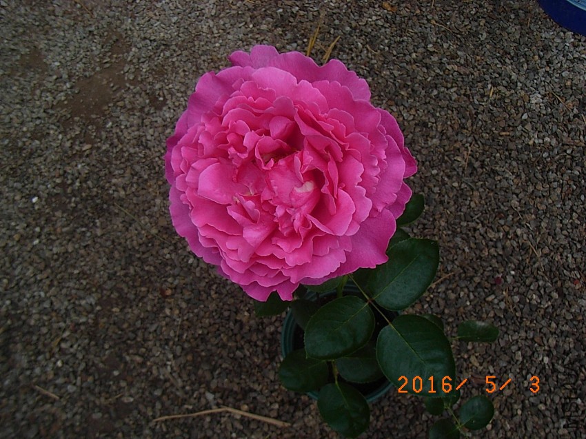 ��ܽ���� (23).JPG