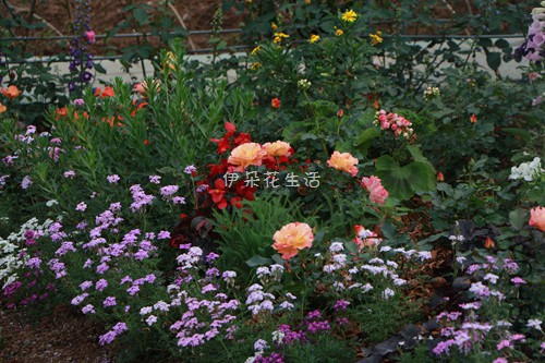 IMG_5622.jpg