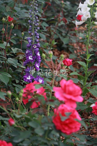 IMG_5839.jpg