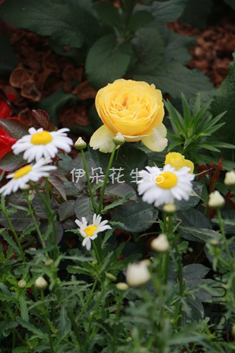 IMG_5940 - ����.jpg