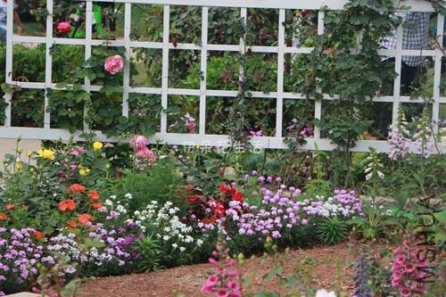 IMG_5965 - ����.jpg