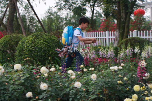 IMG_6023 - ���� - ����.jpg