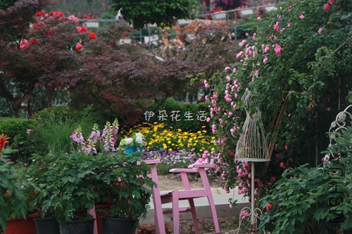 IMG_6294 - ���� - ����.jpg