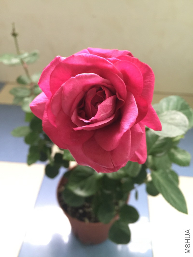 165010t649ouq9vuf9e49j.jpg