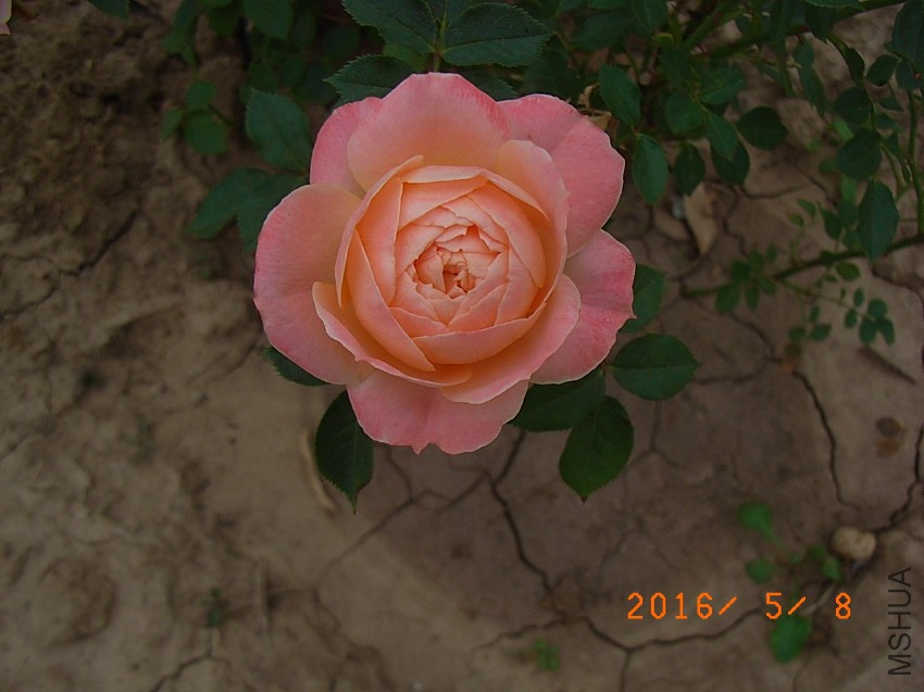 ����g (7).JPG