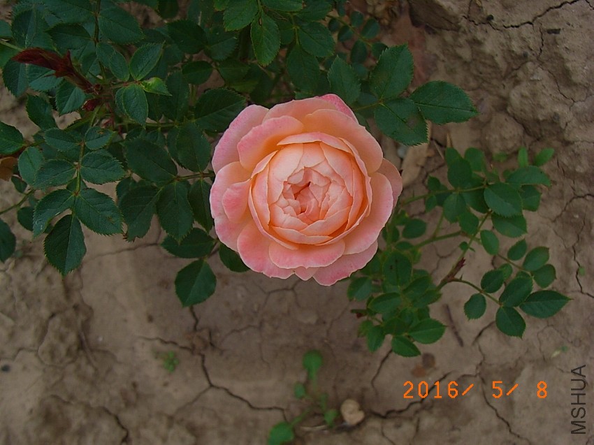 ����g (8).JPG