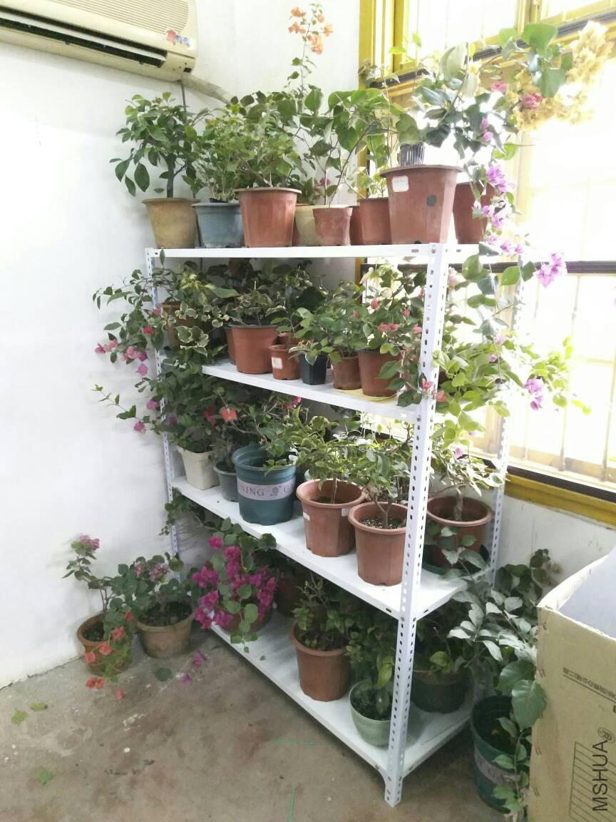 112505irriqwv7jvsijjjt.jpg