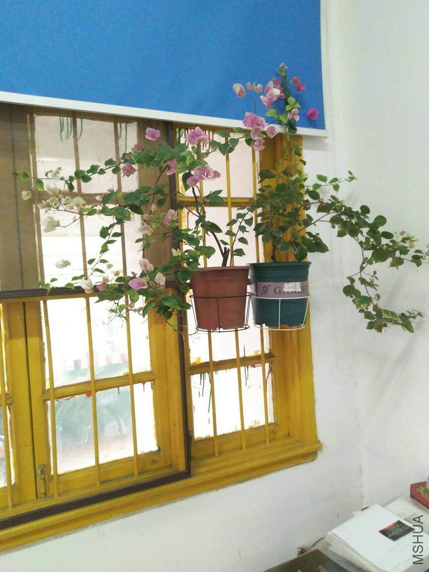 112505vuoy135r4945eguz.jpg