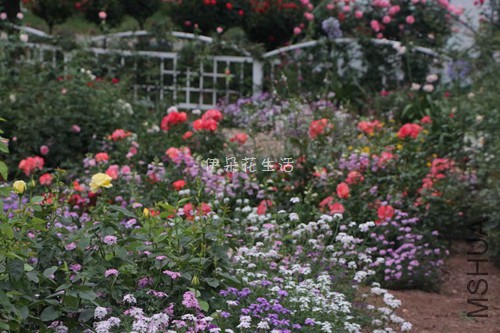 729374141147848893 - ���� - ����.jpg