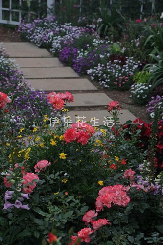 901850941251107929 - ���� - ����.jpg