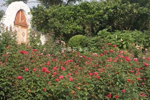 IMG_9503 - ���� - ����.jpg