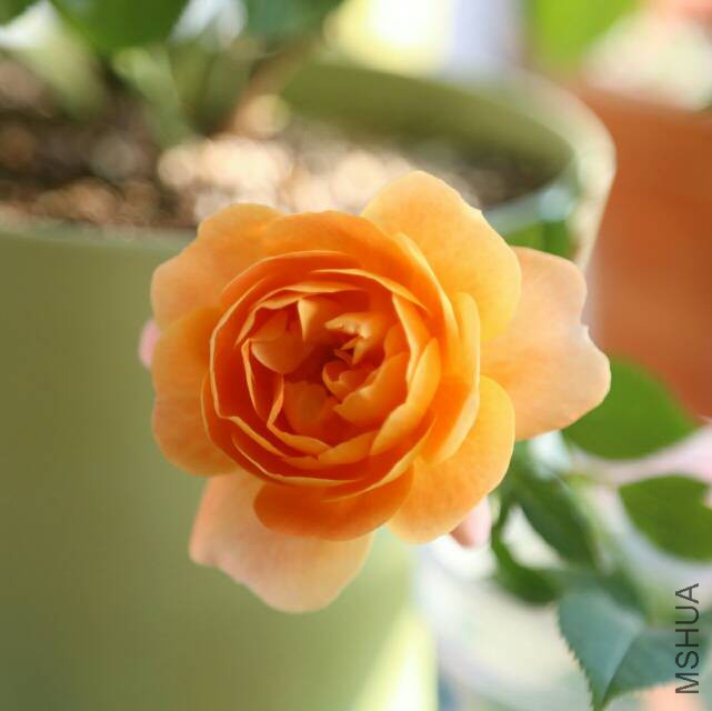 150401osl46rs689haaraa.jpg