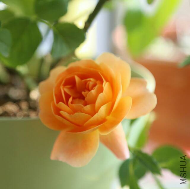 150402tr66pbtdz6f6rd66.jpg
