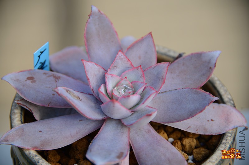 ��Ƭ 118_����.jpg