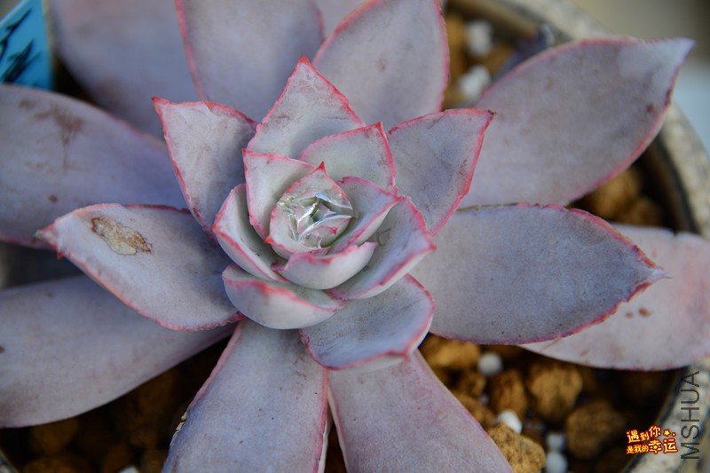 ��Ƭ 121_����.jpg