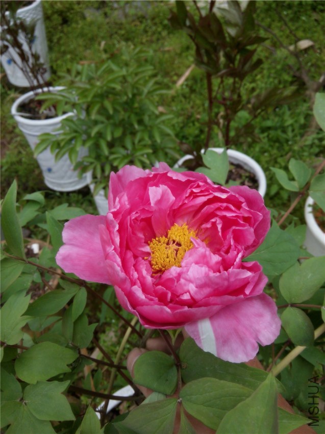 20160331135928_����.jpg