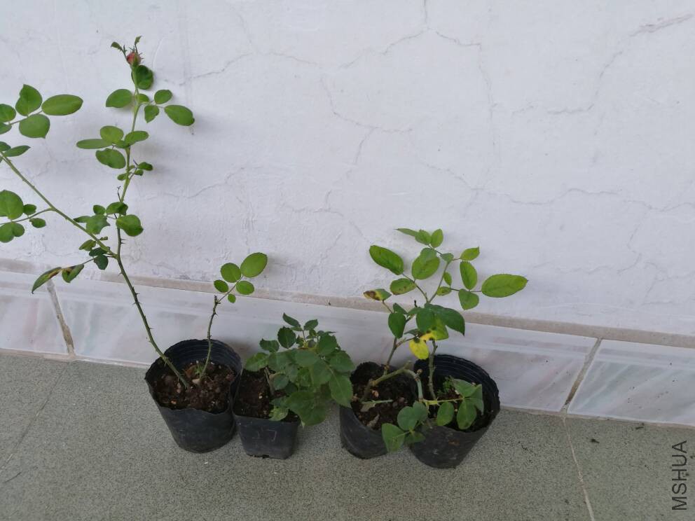 094847zq3o8aji87qp3e7d.jpg