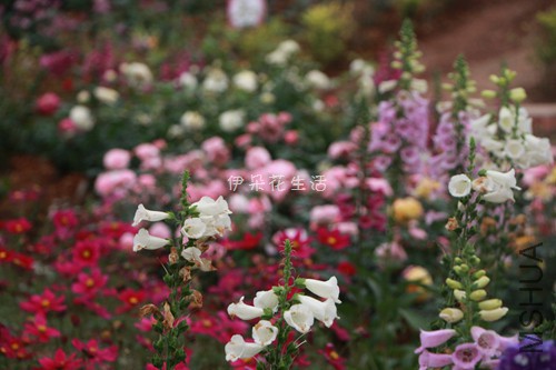 IMG_6292 - ���� - ����.jpg