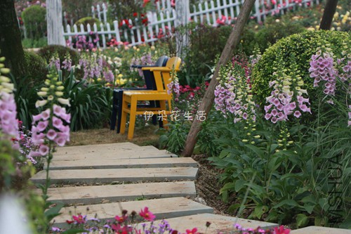 IMG_6293 - ���� - ����.jpg