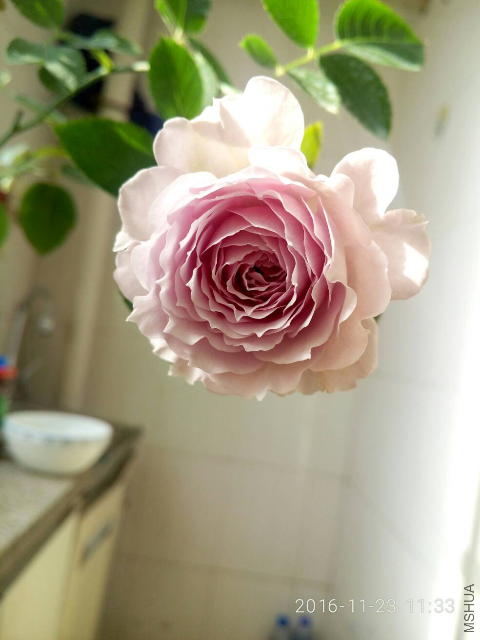 113519se0tnbfbtbzdoxtt.jpg