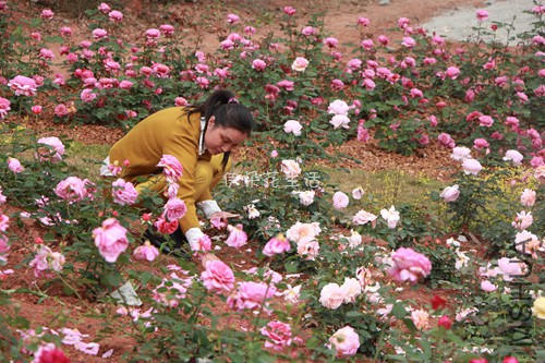 IMG_5676 - ����.jpg